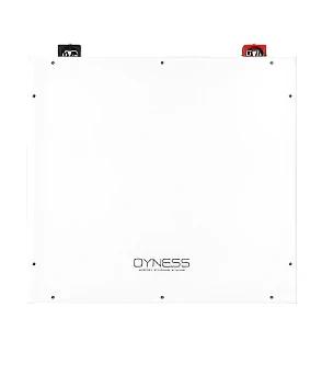 Dyness 5.12kWh BX51100 Lithium Battery